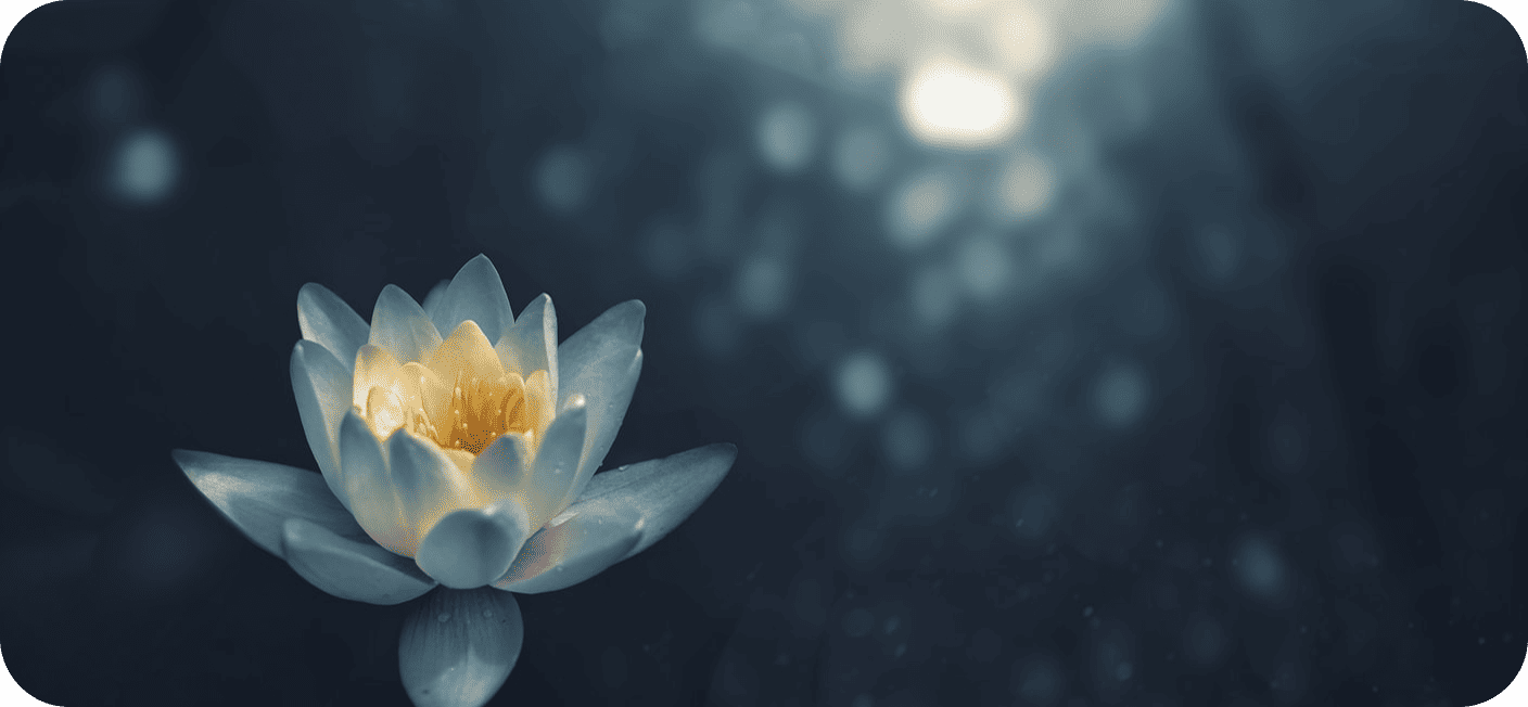 Lotus flower